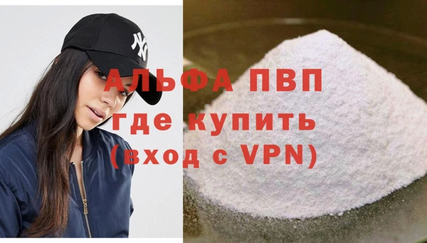 стаф Богданович